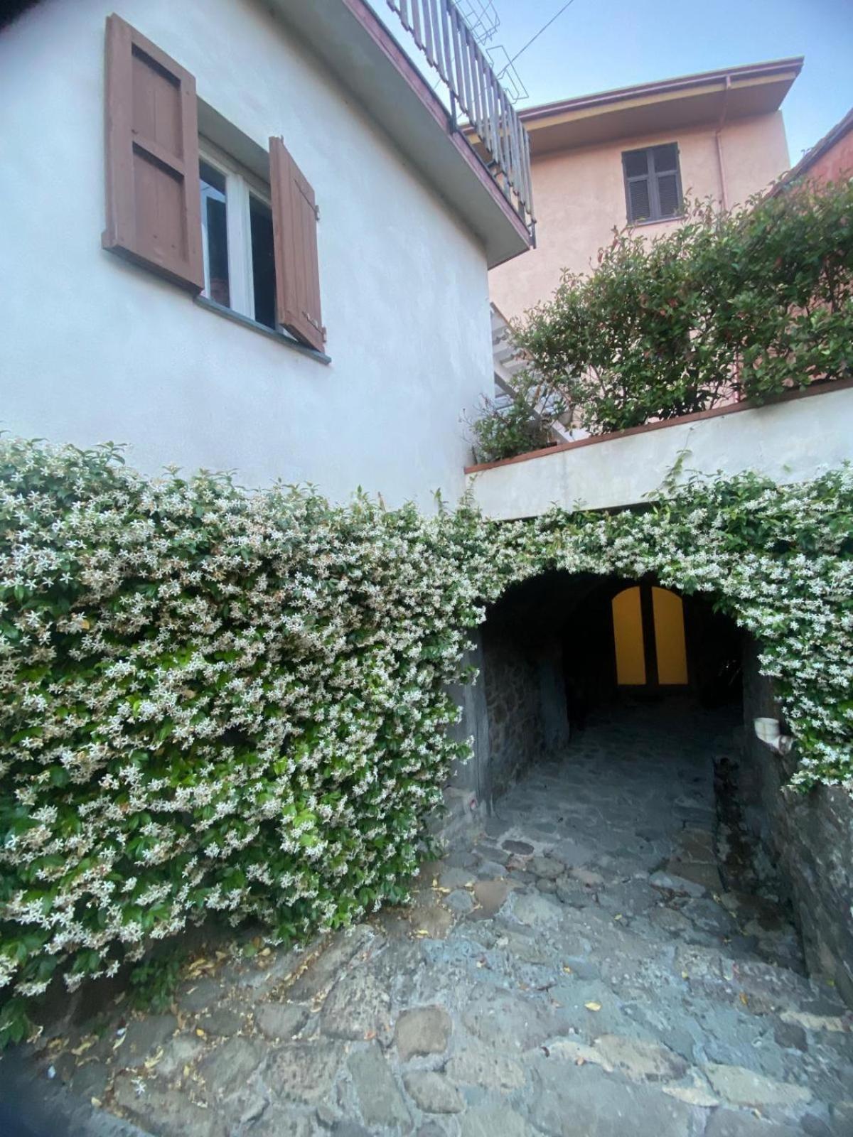 Apartment La Volta